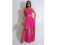 Women Fashion Casual Solid Color Sleeveless Crop Top Split Pants Two-Piece Set