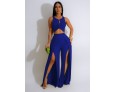 Women Fashion Casual Solid Color Sleeveless Crop Top Split Pants Two-Piece Set